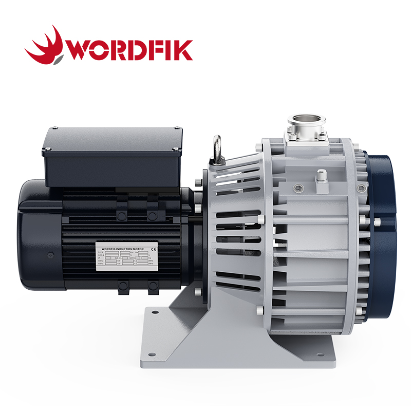 WordFik PLWX800 12L/S 14.4L/S 1PA SCARCO POMPA VUOUME PER GRANDE DI SEMICONDUTTORE