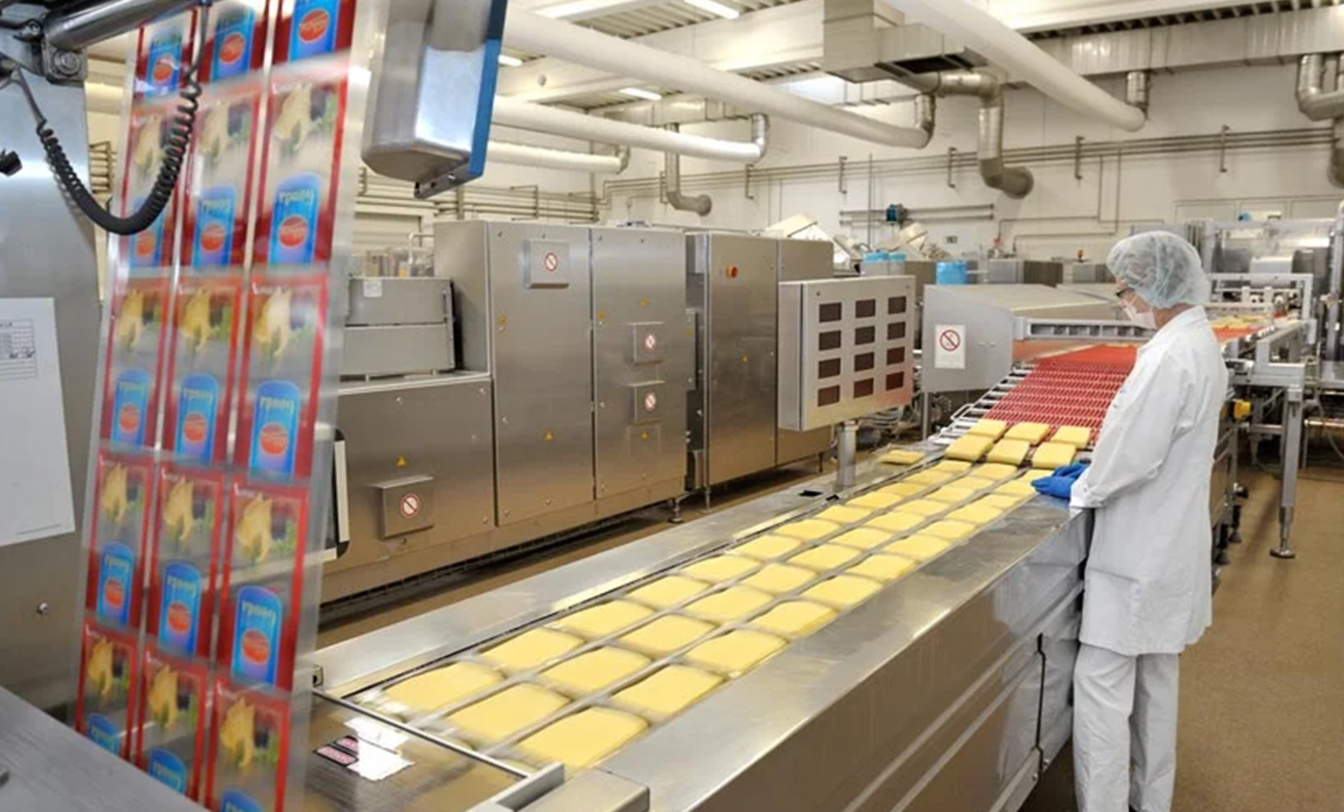 imballaggio alimentare per la pompa a vuoto