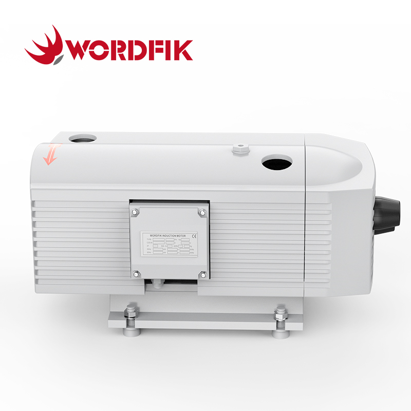 WordFik PVT16 Pompa composto a pressione del vuoto rotativo secco a vane rotante 16m³/h 20m³/h ± 600 Mbar