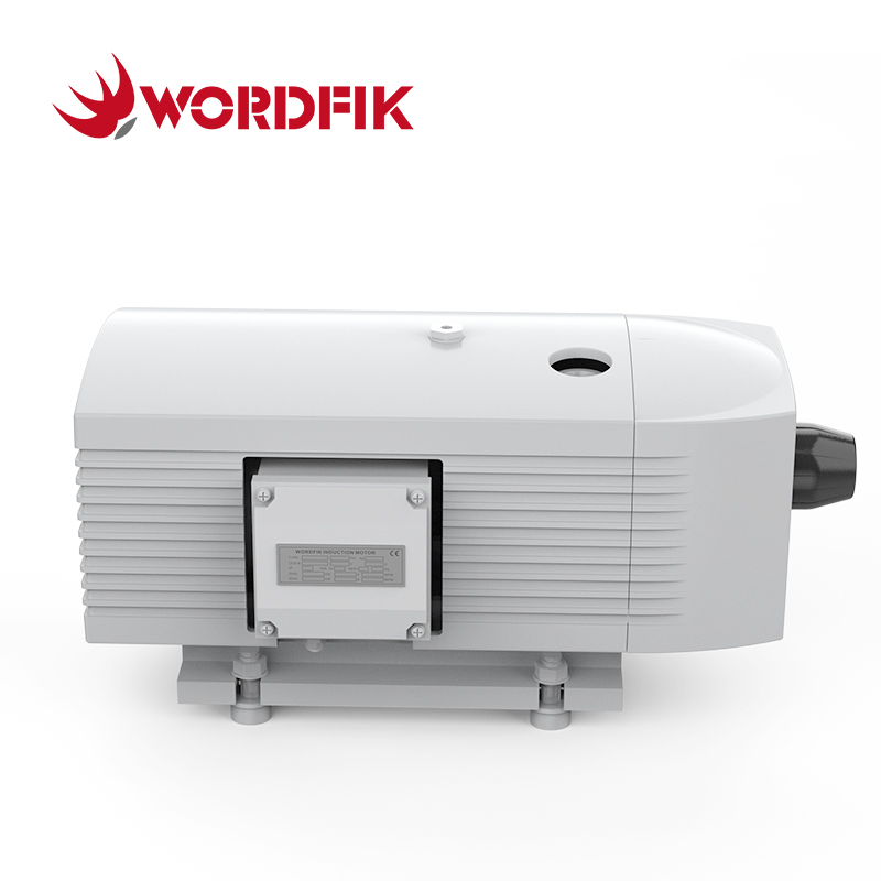 Wordfik vd16 16m³/h 19,2m³/h 150 Mbar Olio Rotary Vane Vane Vane