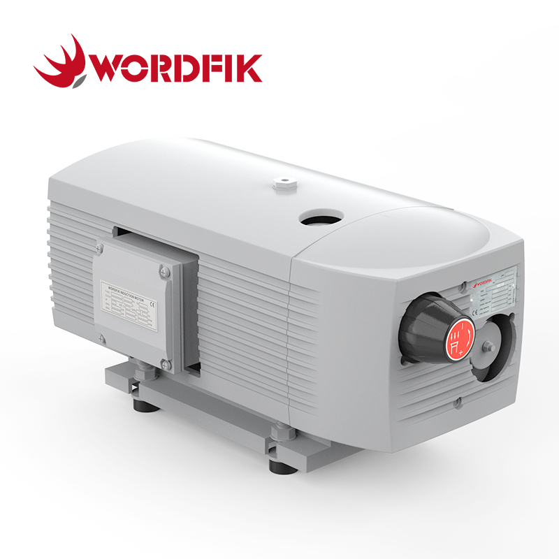 VD10 10m³/h 12m³/h 150 Mbar Pompa a vuoto a vite rotativa a secco