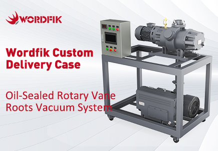 Consegna del sistema di vuoto per radici a palette rotanti con guarnizione ad olio personalizzato Wordfik