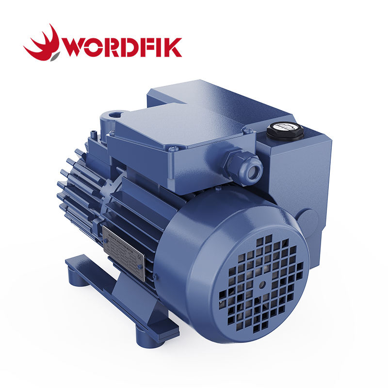 WordFik PVX16 Piccola pompa del vuoto rotante a bordo rotante a bordo olio 16-19m³/h