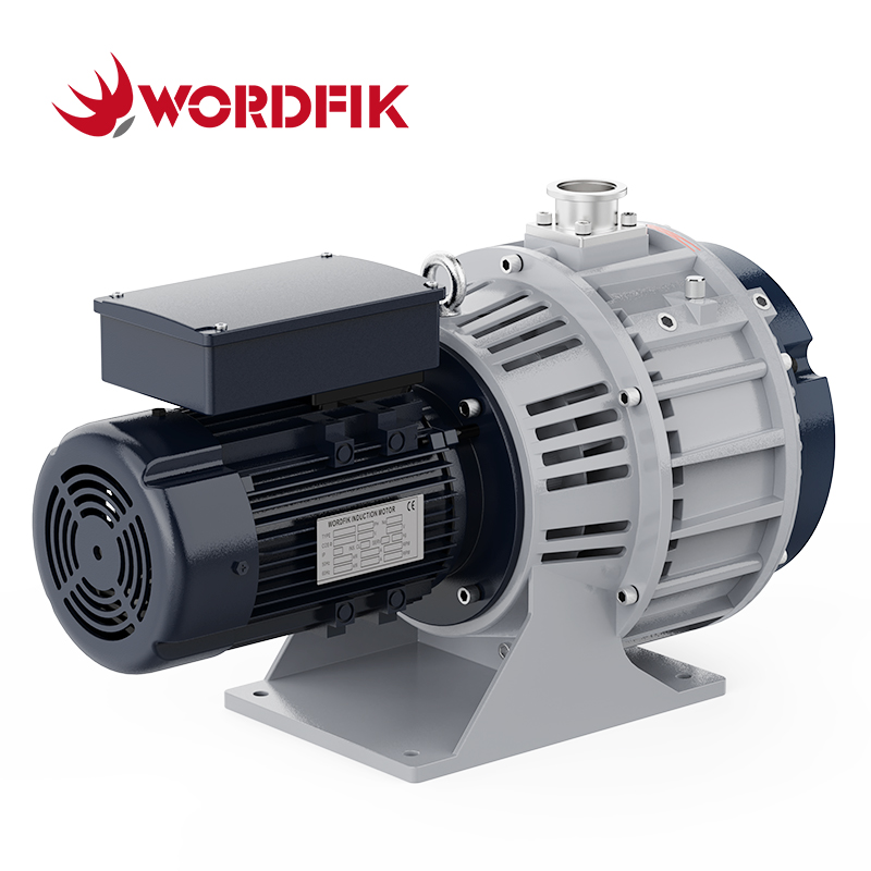 Pompa a vuoto a scorrimento senza olio PLWX600 per produzione di semiconduttori