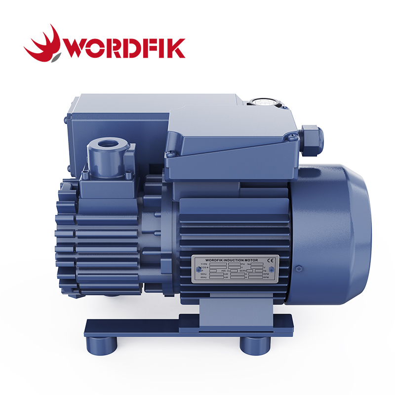 WordFik PVX16 Piccola pompa del vuoto rotante a bordo rotante a bordo olio 16-19m³/h