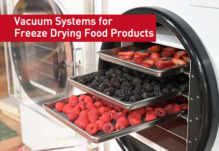 Vacuum Systems for Freeze Drying Food Products.jpg