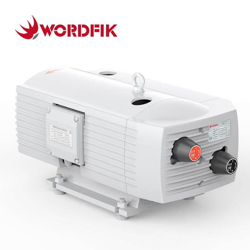 Wordfik Pvt40 Pompa combinata senza olio e pressione