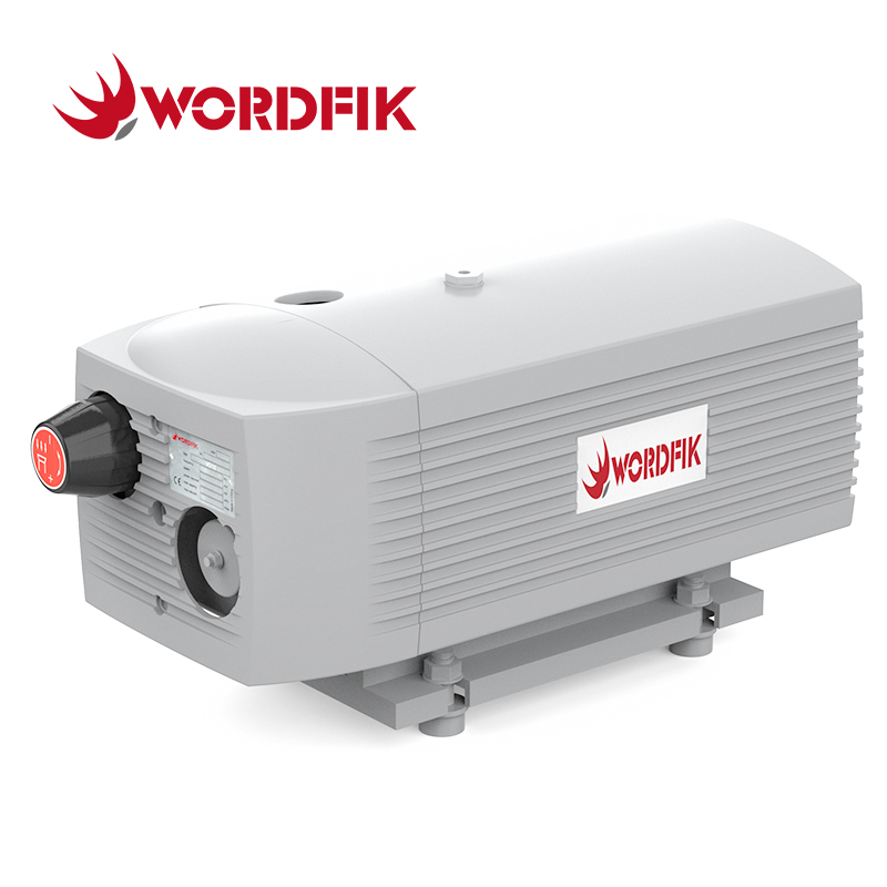 VD10 10m³/h 12m³/h 150 Mbar Pompa a vuoto a vite rotativa a secco