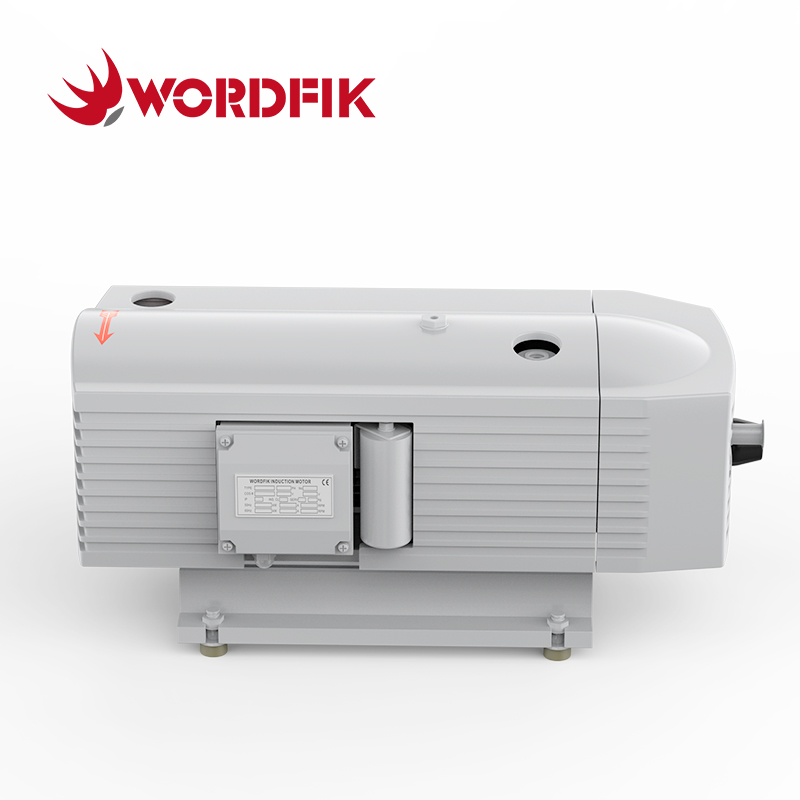 WordFik TD10 Compressore a bordo rotante a secco 10m³/h 12m³/H +1000 Mbar