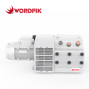 PVDT100 100m³/h 120m³/h Due porte di aspirazione Olio Word Free Dry Ruota a secco Vane Pressione combinata Pompa combinata