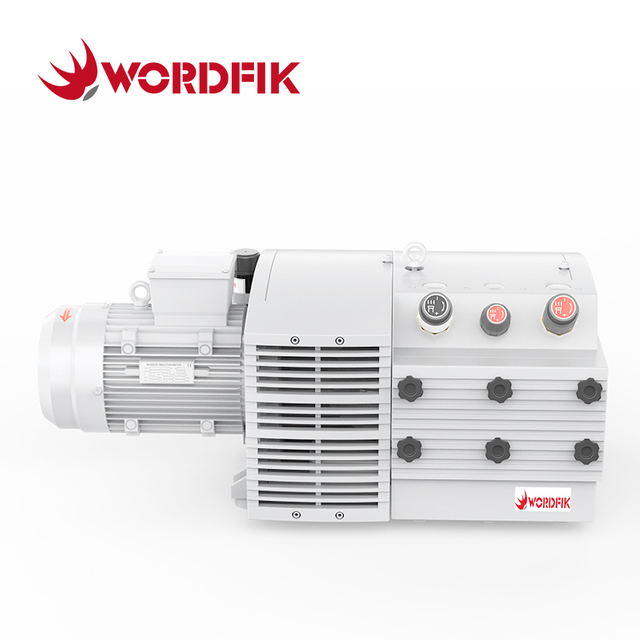 PVDT100 100m³/h 120m³/h Due porte di aspirazione Olio Word Free Dry Ruota a secco Vane Pressione combinata Pompa combinata