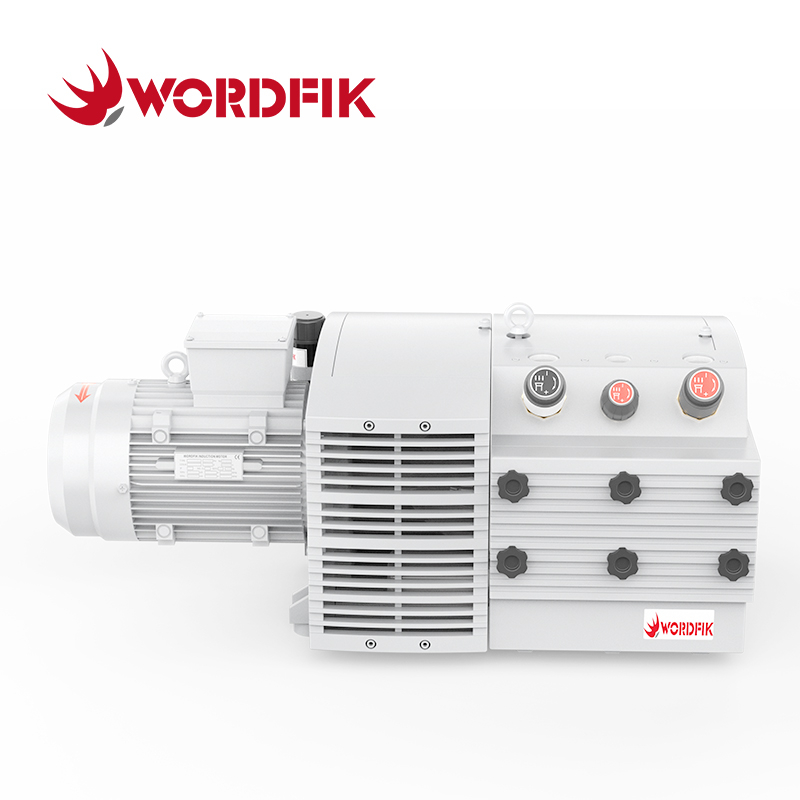 PVDT100 100m³/h 120m³/h Due porte di aspirazione Olio Word Free Dry Ruota a secco Vane Pressione combinata Pompa combinata