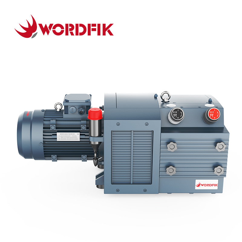60-72m³/h ± 600 Mbar WordFik PVT60 Pompa di combinazione di vane rotante senza olio e pompa di combinazione di pressione