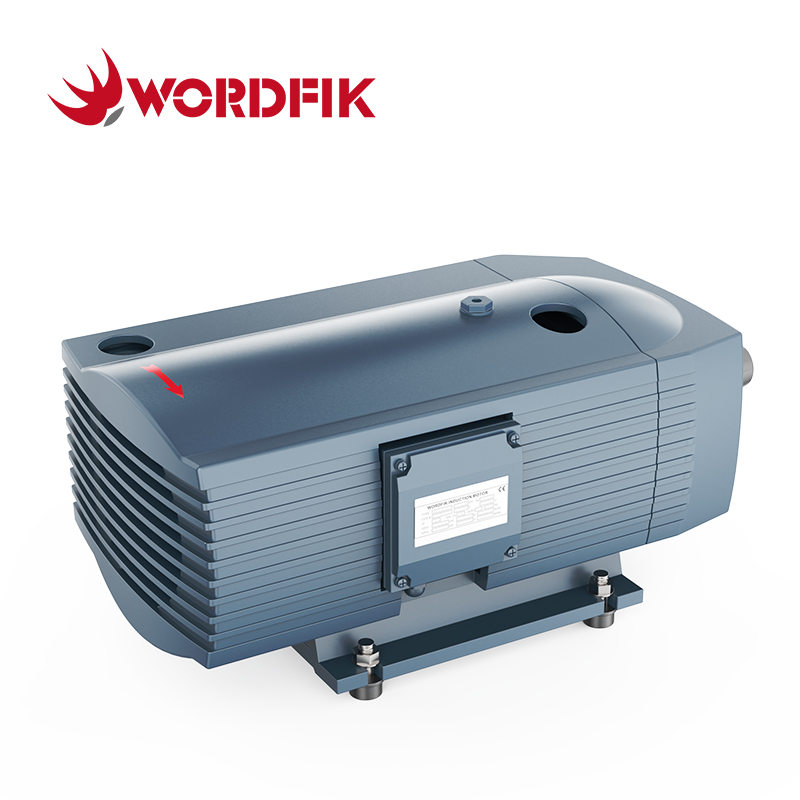 WordFik PVT16 Pompa composto a pressione del vuoto rotativo secco a vane rotante 16m³/h 20m³/h ± 600 Mbar