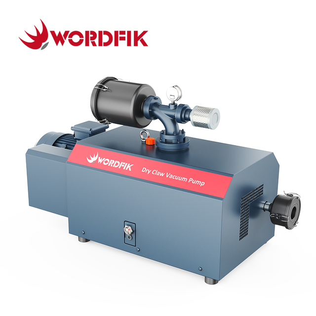 WordFik Series Series Claw Viof Pumps