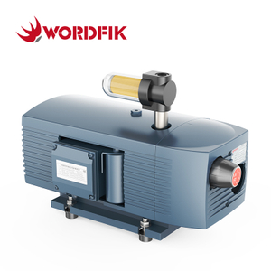 Wordfik vd16 16m³/h 19,2m³/h 150 Mbar Olio Rotary Vane Vane Vane