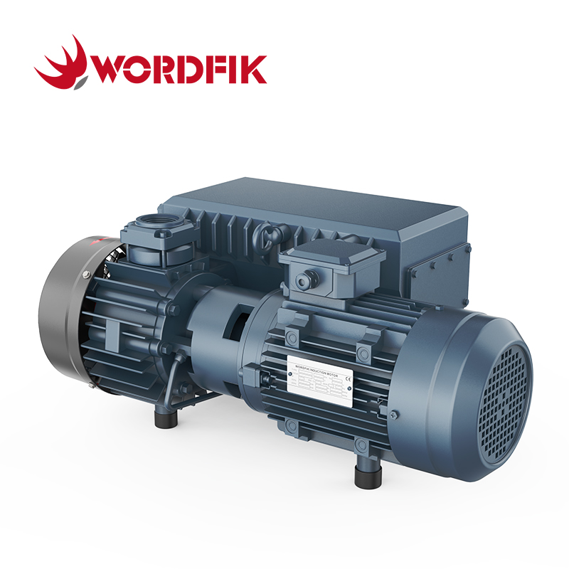 Wordfik Vacuum PVX63 Pompa per vuoto rotativa a palette con guarnizione ad olio 63m³/h 78m³/h 50Pa