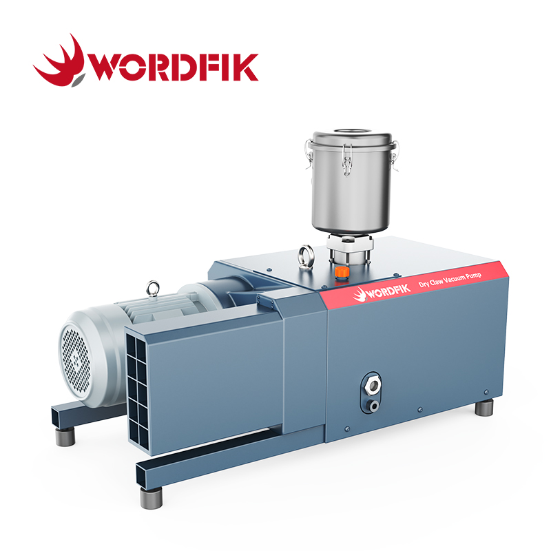 WordFik Series Series Claw Viof Pumps