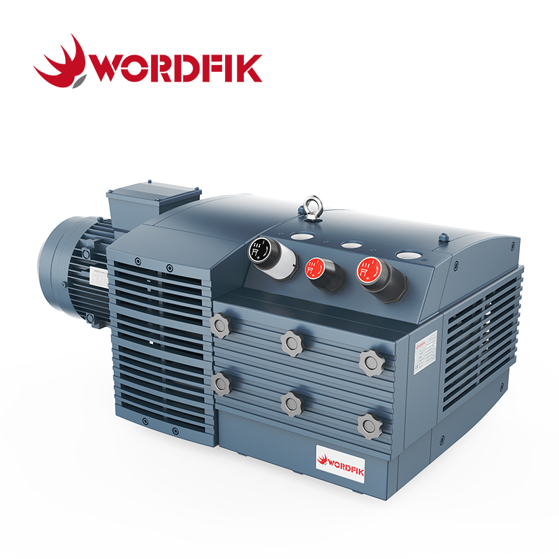 PVDT100 100m³/h 120m³/h Due porte di aspirazione Pompa combinata a pressione di vuoto rotativa a palette senza olio Wordfik