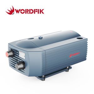 WordFik PVT16 Pompa composto a pressione del vuoto rotativo secco a vane rotante 16m³/h 20m³/h ± 600 Mbar