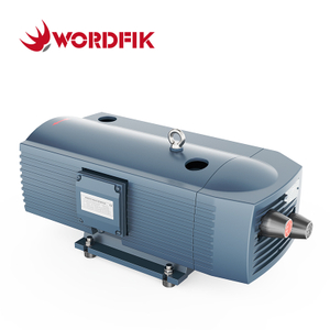 Wordfik Pvt40 Pompa combinata senza olio e pressione
