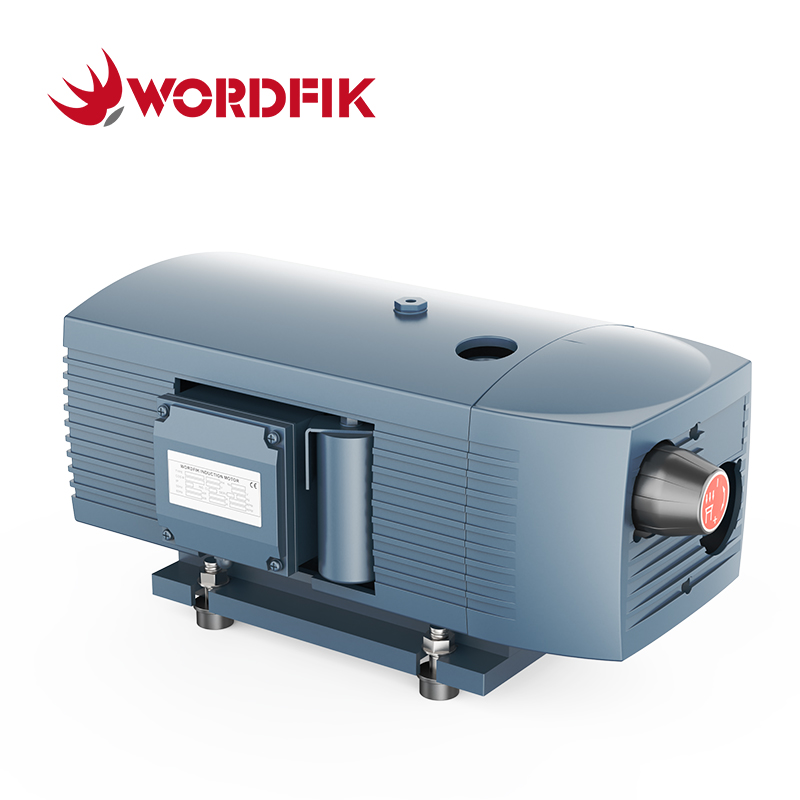 Wordfik vd16 16m³/h 19,2m³/h 150 Mbar Olio Rotary Vane Vane Vane