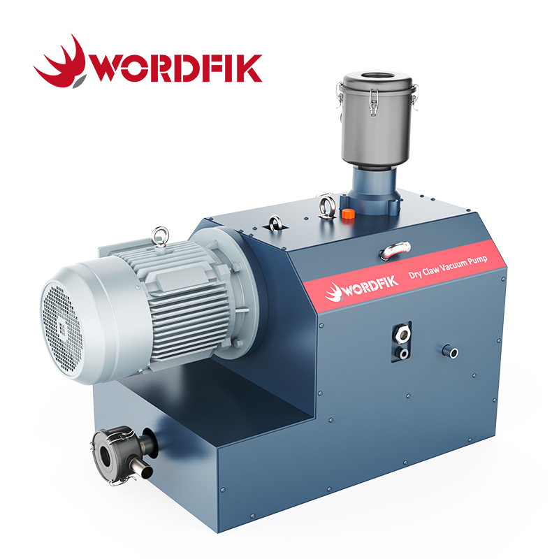 WordFik Series Series Claw Viof Pumps
