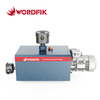 WordFik Series Series Claw Viof Pumps