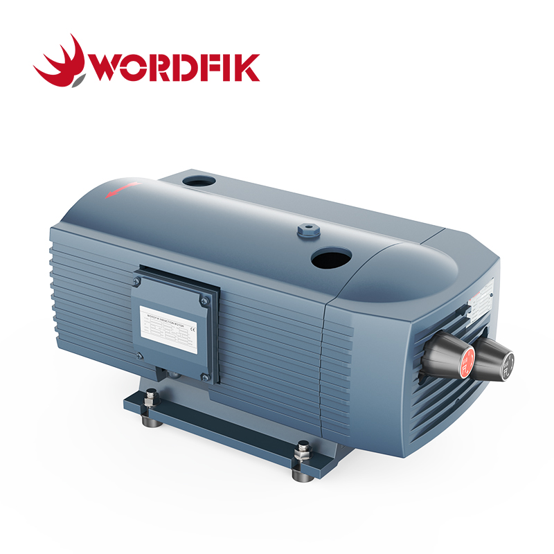 WordFik PVT16 Pompa composto a pressione del vuoto rotativo secco a vane rotante 16m³/h 20m³/h ± 600 Mbar