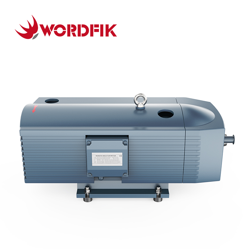 WordFik TD40K Compressore a bordo rotante a secco/Pompa di pressione 40m³/H 48m³/H