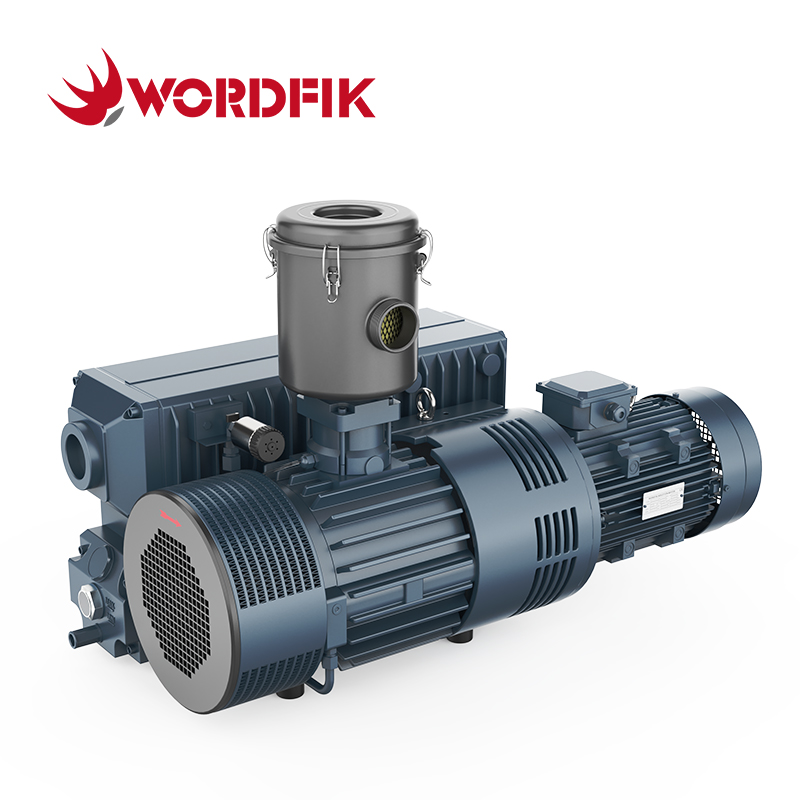 Pompa per vuoto rotativa a palette con guarnizione ad olio PVX250 250m³/h 300m³/h 0,5mbar