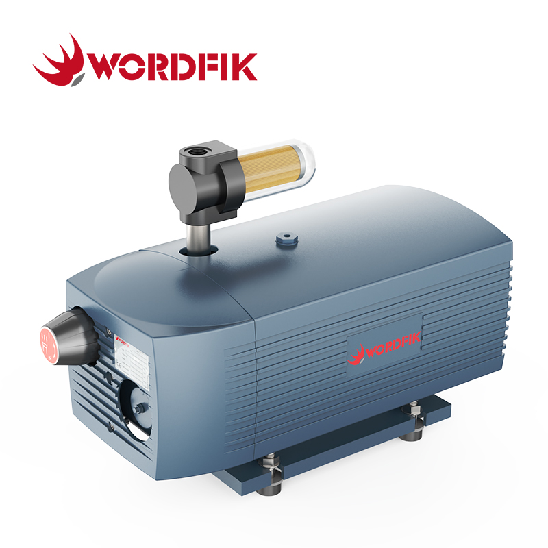 VD10 10m³/h 12m³/h 150 Mbar Pompa a vuoto a vite rotativa a secco